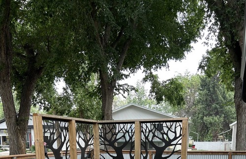 Medicine Hat House | Cozy Mid-Century Modern Home - just steps away from 150km of trails