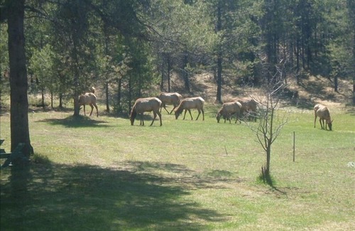Coram House | “Cozy Mountain Home just 5 minutes from Glacier Park”