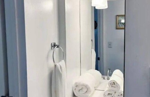 Springfield Apartment | Cozy newly renovated 1bed/1bth/pet friendly