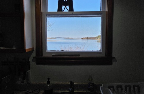 Heckmans Island Cabin | Cozy Ocean Front Cottage