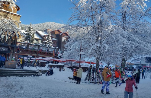 Whistler Creekside Apartment | Cozy retreat Studio in Whistler Creekside walk to lifts on the lake