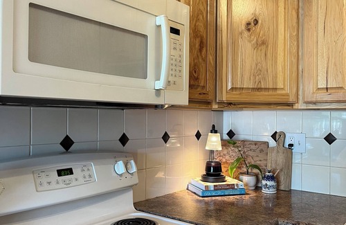 Windsor House | Cozy Retreat w/Sauna Near Downtown Windsor!