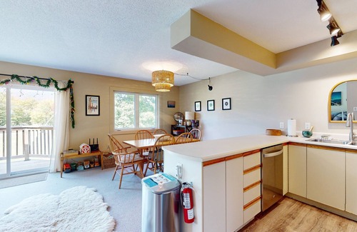 North Troy Condo | Cozy Ski-in/Ski-out condo w/balcony, mountain views, gas fireplace, w/d, wifi