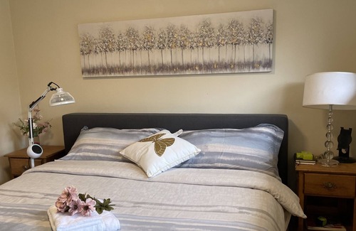 Lake Forest Park Apartment | Cozy & Spacious 2B1B w/Lake Wash and MtBaker View