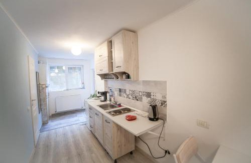 Arad Apartment | Cozy Studio Apartment in Arad City Center