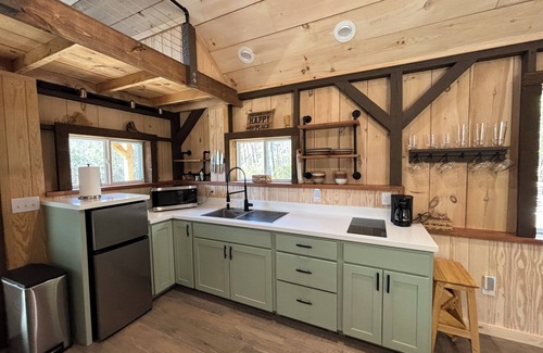 Brevard Cabin | Cozy tiny cabin with Loft 10 minutes from DuPont State Park