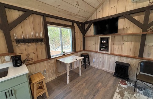 Brevard Cabin | Cozy tiny cabin with Loft 10 minutes from DuPont State Park