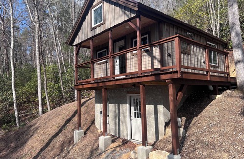 Brevard Cabin | Cozy tiny cabin with Loft 10 minutes from DuPont State Park