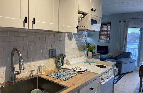 North Shore Condo | Cozy WATERFRONT condo in a quiet cove. Private Boat launch