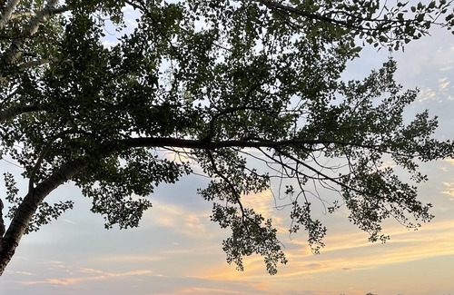 Orillia House | Cozy waterfront house on lake Simcoe, 3 minutes from downtown Orillia