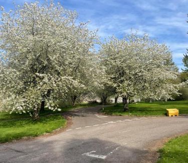 Culloden Apartment | Culloden Stables 4