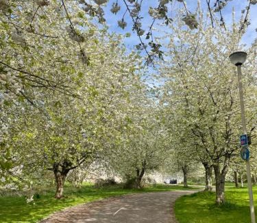 Culloden Apartment | Culloden Stables 4