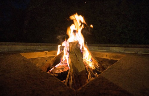 Jericho Apartment | Curated Private One Bedroom Suite Steps from Shops, Equestrian Country & NYC 🏙️