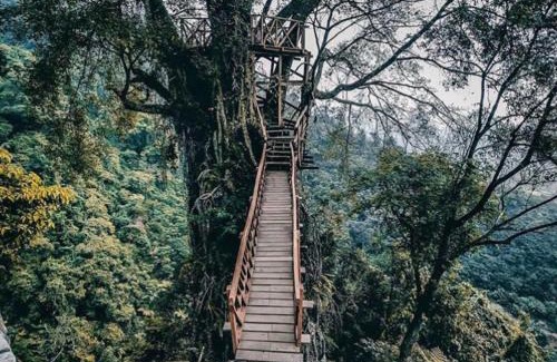 Cibodas Cabin | Curug Ciherang Villa & Glamping