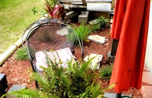 Opelousas Apartment | Cute & quaint South City apartment