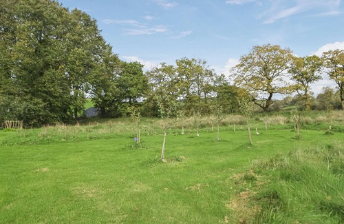 Talgarreg Cottage | Cwtch Wrth Plas - UK45619