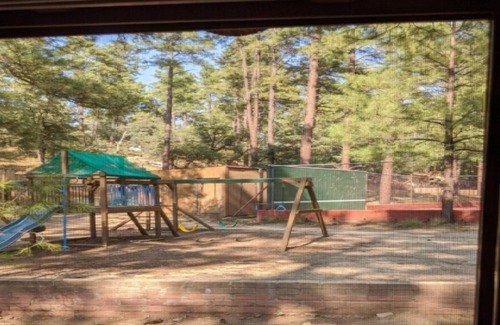 Prescott RV Rental | D6 Glamping with Deer, Squirrels & Woodpeckers