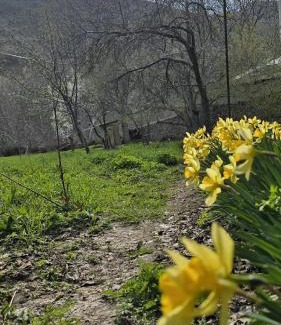 Shahbuz Cabin | Dağ Havası - Kükü kəndi