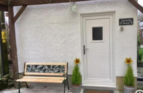 Llandovery Apartment | Daffodil House , West Wales