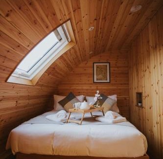 St Harmon House | Daisy