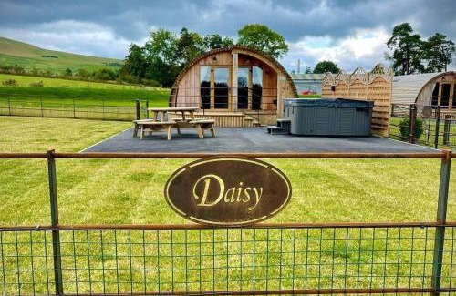 St Harmon House | Daisy