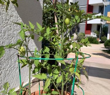 Playas de Tijuana Apartment | Dali Suites -Accommodations in Playas de Tijuana