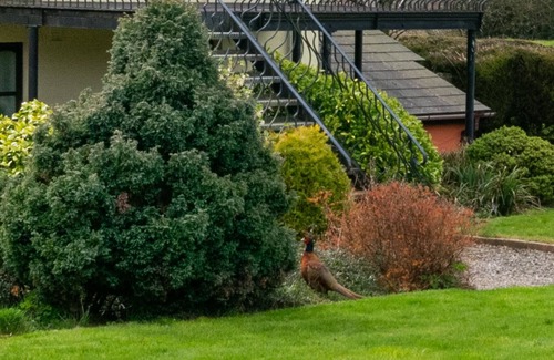 Brecon House | Dan y Comin - Two Bedroom House, Sleeps 5