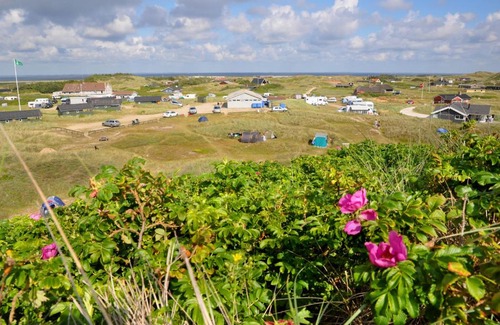 Argab Other | Dancamps Holmsland (Camp Site)