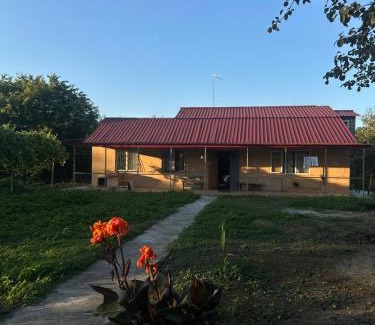 Samegrelo-Zemo Svaneti House | Dar