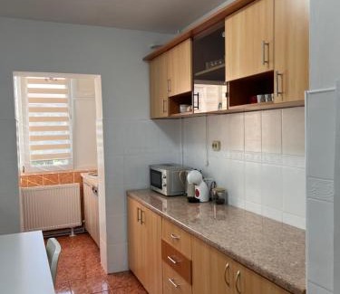 Calea Sever Bocu Apartment | Darko Residence