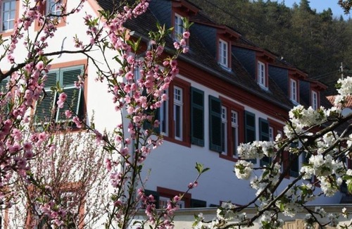 Neustadt-Konigsbach Apartment | Das Hirschhorner Weindomizil - Fewo, Dusche und Bad, WC, Deluxe
