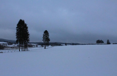 Buellingen House | Das Kleine Glück