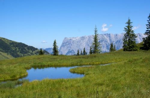 Muehlbach Am Hochkoenig Apartment | Das Sonneck
