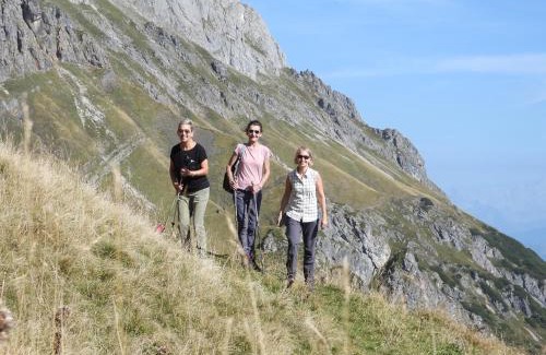 Muehlbach Am Hochkoenig Apartment | Das Sonneck