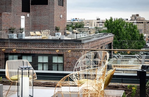 Adams Morgan Hotel | DC Arts and Nature Retreat, Central Location, Stylish Pet-Friendly Unit!
