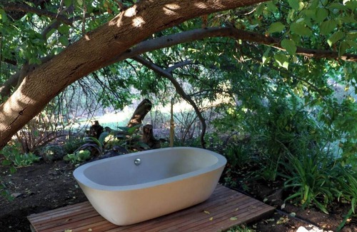 Montagu Apartment | De Nest - Clear glass Tree cabin in Montagu