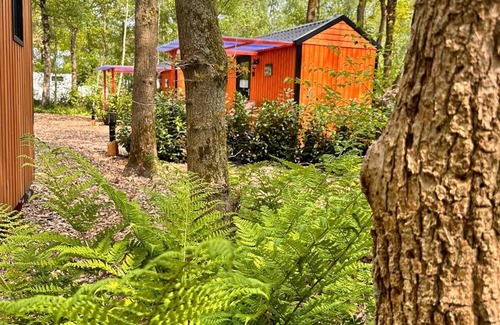 Zuidwolde Ski Chalet | De Sluus in de Natuur