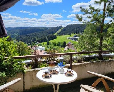 Schonach im Schwarzwald Apartment | Deck-Apartment next to the forest