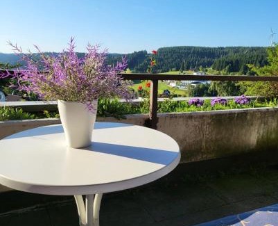 Schonach im Schwarzwald Apartment | Deck-Apartment next to the forest