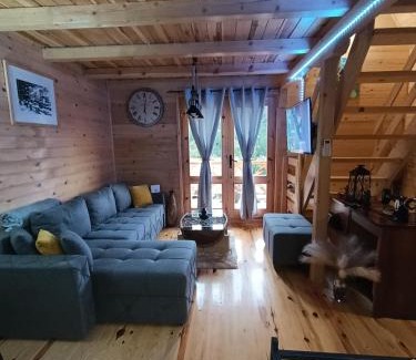 Mokra Gora House | Dedin Konak