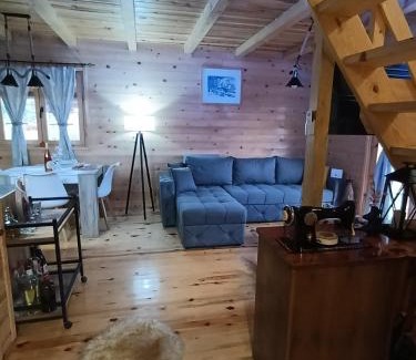 Mokra Gora House | Dedin Konak