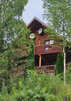 Vyzhnytsya Villa | Deep Forest