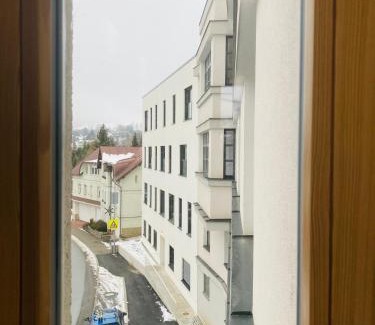 Rokytnice nad Jizerou Apartment | Deer Apartment