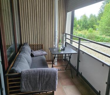 Winterberg Apartment | Deluxe Ferienwohnung Winterberg mit private Sauna