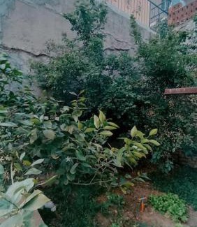 Ayvalik City Center Apartment | Deniz Manzaralı Müstakil ev Aybalik