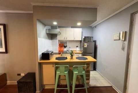 Downtown Santiago Apartment | Departamento en el Corazon de Santiago