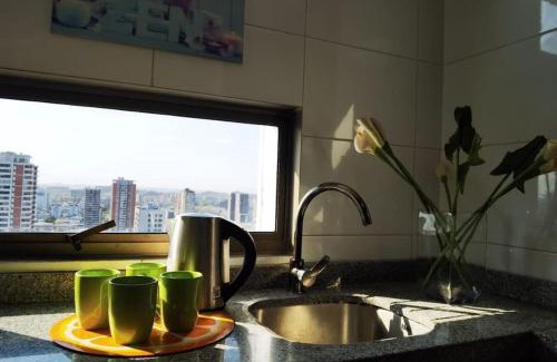 Concepcion Apartment | Depto con la mejor vista a la ciudad de Concepción