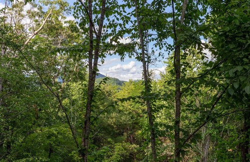 Cullowhee House | Destination Outdoors Holly Hideaway - A unique yurt perfect for glamping!