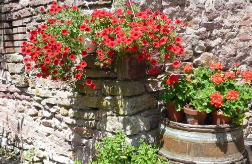 Saint-Jean-de-Trezy Cottage | Detached former winemaker's cottage in a delightful & panoramic setting