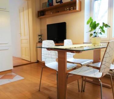 Ljubljana City Centre Apartment | Dimora Apartments with free parking